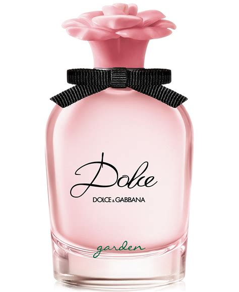 dolce and gabbana women's fragrance